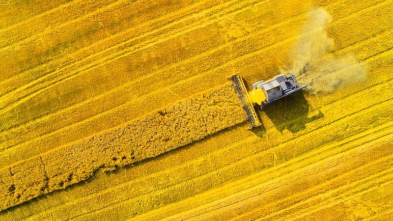Europe’s ethanol industry boosts production of low-carbon fuel and high-protein feed