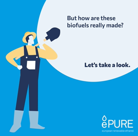 Watch our new videos: The truth about biofuel feedstocks